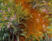 克劳德 莫奈 : The Path through the Irises